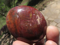 Polished Petrified Red Podocarpus Wood Palm Stones  x 12 From Mahajanga, Madagascar - TopRock