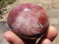 Polished Petrified Red Podocarpus Wood Palm Stones  x 12 From Mahajanga, Madagascar - TopRock