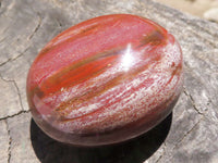 Polished Petrified Red Podocarpus Wood Palm Stones  x 12 From Mahajanga, Madagascar - TopRock