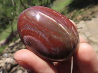 Polished Petrified Red Podocarpus Wood Palm Stones  x 12 From Mahajanga, Madagascar - TopRock