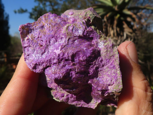 Natural Rough Stichtite Cobbed Specimens  x 12 From Barberton, South Africa - Toprock Gemstones and Minerals 