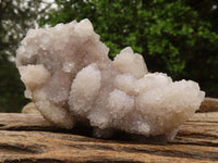 Natural White Spirit Cactus Quartz Clusters  x 6 From Boekenhouthoek, South Africa - Toprock Gemstones and Minerals 