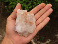 Natural White Spirit Cactus Quartz Clusters  x 6 From Boekenhouthoek, South Africa - Toprock Gemstones and Minerals 