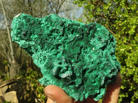 Natural Chatoyant Silky Malachite Specimens  x 3 From Kasompe, Congo