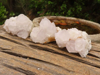 Natural White Spirit Cactus Quartz Clusters  x 6 From Boekenhouthoek, South Africa - Toprock Gemstones and Minerals 