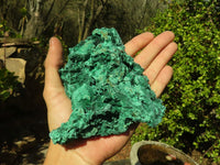 Natural Chatoyant Silky Malachite Specimens  x 3 From Kasompe, Congo