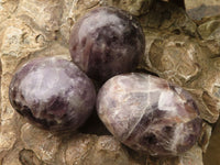 Polished Large Amethyst Palm Stones  x 7 From Madagascar - TopRock