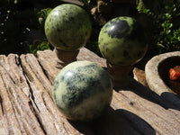 Polished Green Leopard Stone Spheres  x 3 From Zimbabwe - Toprock Gemstones and Minerals 