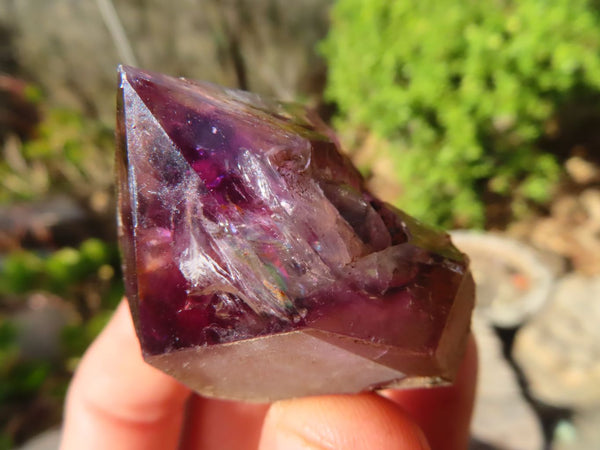 Natural Royal Zulu Window Amethyst Crystals x 20 From KwaZulu Natal, South Africa