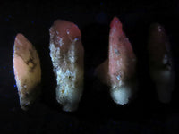 Natural Drusy Quartz Coated Fluorescent Peach Calcite Crystal Specimens  x 35 From Alberts Mountain, Lesotho - Toprock Gemstones and Minerals 