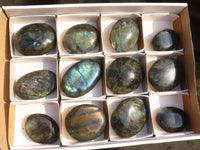 Polished  Flashy Labradorite Palm Stones  x 12 From Tulear, Madagascar