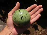 Polished Green Leopard Stone Spheres  x 3 From Zimbabwe - Toprock Gemstones and Minerals 