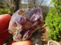 Natural Royal Zulu Window Amethyst Crystals x 20 From KwaZulu Natal, South Africa