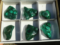 Polished Flower Banded Malachite Free Forms  x 6 From Congo - Toprock Gemstones and Minerals 