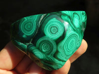 Polished Flower Banded Malachite Free Forms  x 6 From Congo - Toprock Gemstones and Minerals 