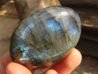 Polished  Flashy Labradorite Palm Stones  x 12 From Tulear, Madagascar