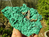 Natural Chatoyant Silky Malachite Specimens  x 3 From Kasompe, Congo