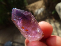 Natural Royal Zulu Window Amethyst Crystals x 20 From KwaZulu Natal, South Africa