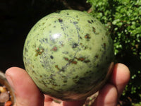 Polished Green Leopard Stone Spheres  x 3 From Zimbabwe - Toprock Gemstones and Minerals 