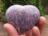 Polished Purple Lepidolite Hearts  x 6 From Madagascar - TopRock