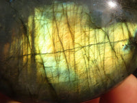 Polished  Flashy Labradorite Palm Stones  x 12 From Tulear, Madagascar