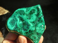 Polished Flower Banded Malachite Free Forms  x 6 From Congo - Toprock Gemstones and Minerals 