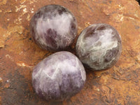 Polished Large Amethyst Palm Stones  x 7 From Madagascar - TopRock