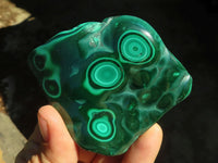 Polished Flower Banded Malachite Free Forms  x 6 From Congo - Toprock Gemstones and Minerals 