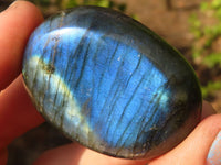 Polished  Flashy Labradorite Palm Stones  x 12 From Tulear, Madagascar