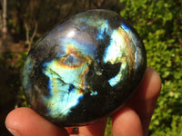 Polished  Flashy Labradorite Palm Stones  x 12 From Tulear, Madagascar