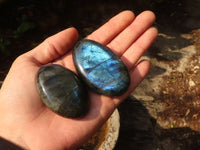 Polished  Flashy Labradorite Palm Stones  x 12 From Tulear, Madagascar