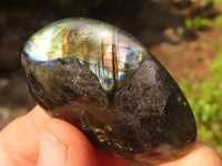 Polished  Flashy Labradorite Palm Stones  x 12 From Tulear, Madagascar