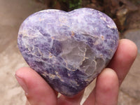 Polished Purple Lepidolite Hearts  x 6 From Madagascar - TopRock