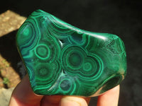 Polished Flower Banded Malachite Free Forms  x 6 From Congo - Toprock Gemstones and Minerals 