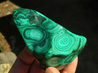 Polished Flower Banded Malachite Free Forms  x 6 From Congo - Toprock Gemstones and Minerals 