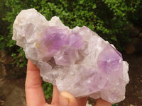 Natural Jacaranda Amethyst Clusters  x 3 From Zambia - Toprock Gemstones and Minerals 