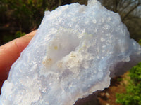 Natural Etched Blue Chalcedony Specimens  x 12 From Nsanje, Malawi