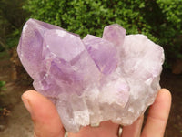 Natural Jacaranda Amethyst Clusters  x 3 From Zambia - Toprock Gemstones and Minerals 