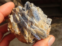 Natural Kyanite In Matrix Specimens  x 6 From Zimbabwe