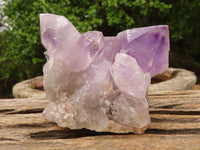 Natural Jacaranda Amethyst Clusters  x 3 From Zambia - Toprock Gemstones and Minerals 