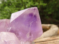 Natural Jacaranda Amethyst Clusters  x 3 From Zambia - Toprock Gemstones and Minerals 