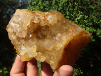 Natural Golden Limonite Quartz Clusters  x 12 From Zambia - Toprock Gemstones and Minerals 