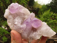 Natural Jacaranda Amethyst Clusters  x 3 From Zambia - Toprock Gemstones and Minerals 