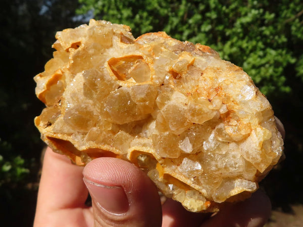 Natural Golden Limonite Quartz Clusters  x 12 From Zambia - Toprock Gemstones and Minerals 