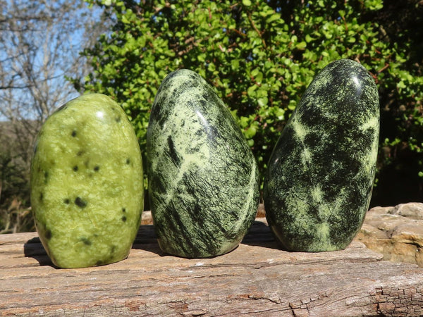 Polished Spotted Leopard Stone Standing Free Forms  x 3 From Zimbabwe - Toprock Gemstones and Minerals 