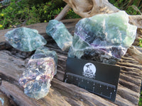 Natural Rough Watermelon Fluorite Cobbed Specimens x 6 From Uis, Namibia - TopRock