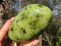 Polished Spotted Leopard Stone Standing Free Forms  x 3 From Zimbabwe - Toprock Gemstones and Minerals 