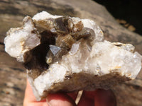 Natural Golden Limonite Quartz Clusters  x 12 From Zambia - Toprock Gemstones and Minerals 