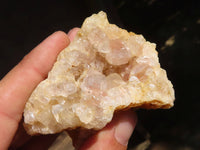 Natural Golden Limonite Quartz Clusters  x 12 From Zambia - Toprock Gemstones and Minerals 