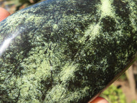 Polished Spotted Leopard Stone Standing Free Forms  x 3 From Zimbabwe - Toprock Gemstones and Minerals 